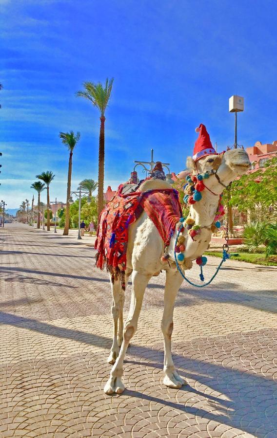 The Touristic Promenade Apartment Hurghada Exterior photo